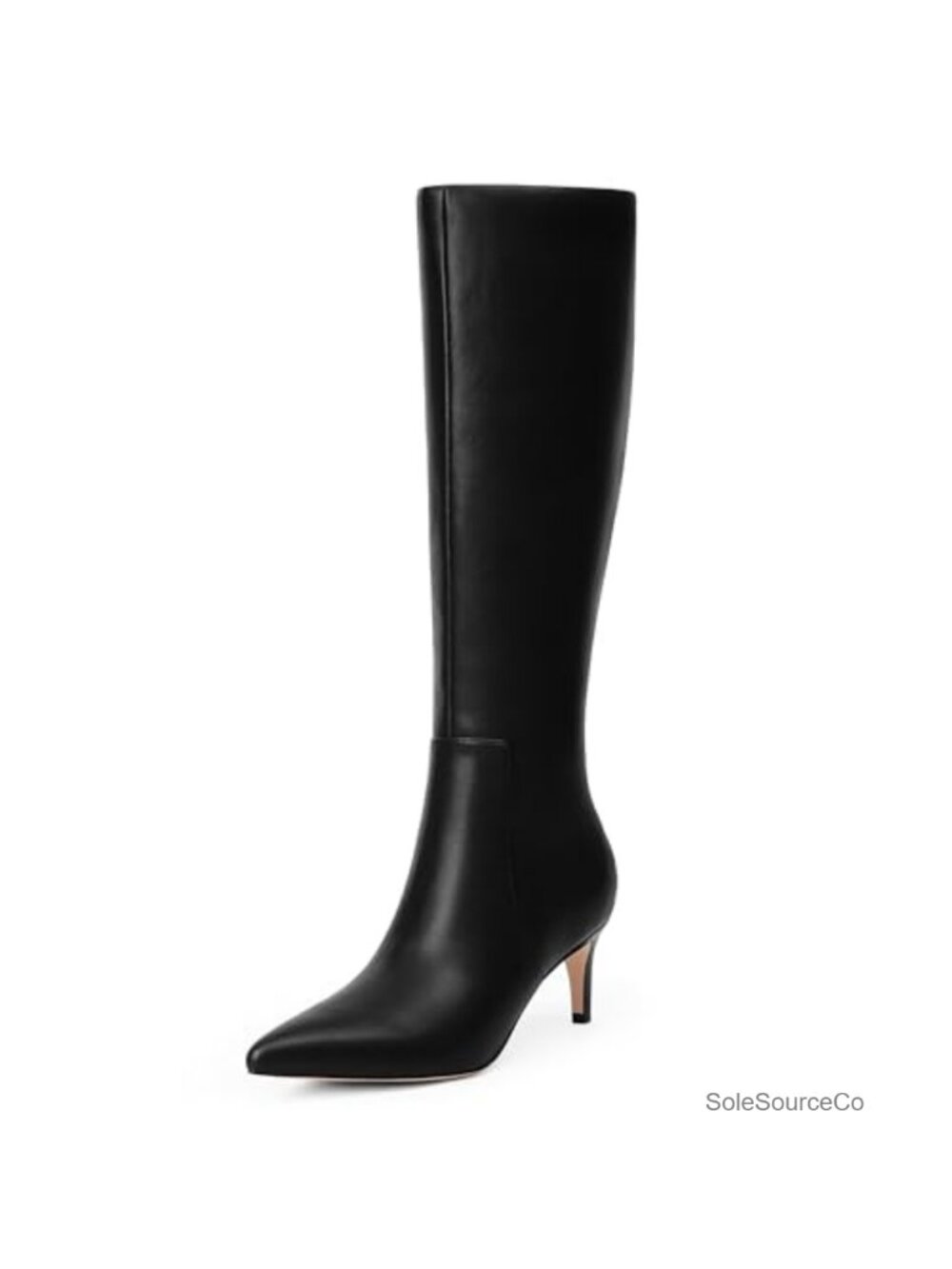Kitten Heel Knee High Boots Faux Leather Pointed Toe Side Zip Tall